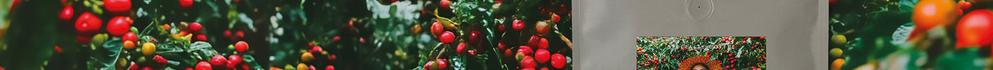 Specialty koffie mei 2025