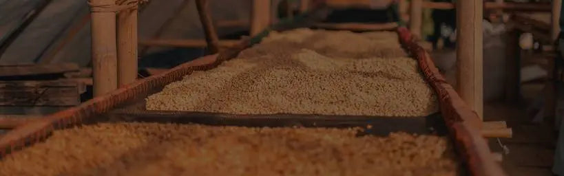Waarom stijgen de koffieprijzen?