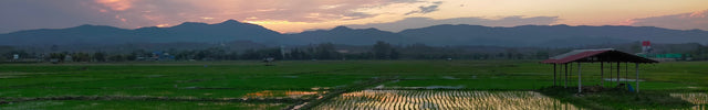 Thailand specialty plantages